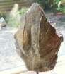 beelden83_small.jpg