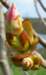_1546_small.jpg