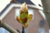 _1661_small.jpg