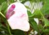 _1671_small.jpg
