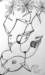 _0941_small.jpg